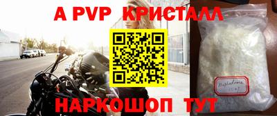 СК Волгодонск