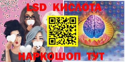 СК Волгодонск