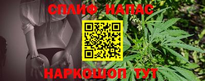СК Волгодонск