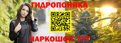 СК Волгодонск