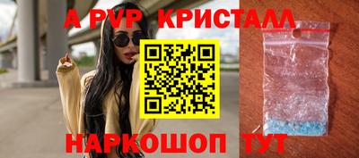 СК Волгодонск
