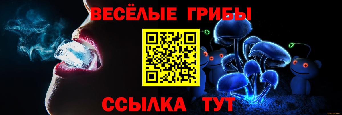 Галлюциногенные грибы Psilocybe  Галлюциногенные грибы мухоморы  Вход с VPN  Нижнеудинск 